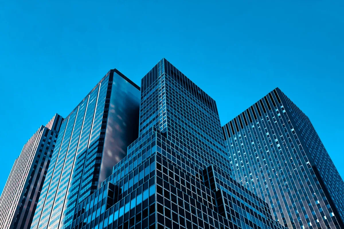 Unlock Full Contact Details with a B2B Directory Subscription